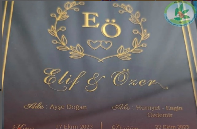 elif_ozer